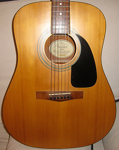Fender DG6 Acoustic Dreadnought Guitar