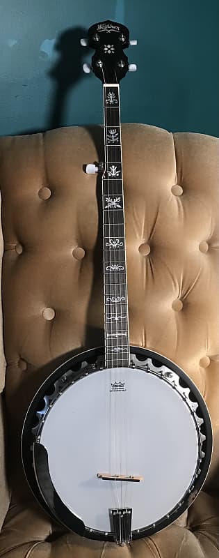 Washburn b10 online banjo