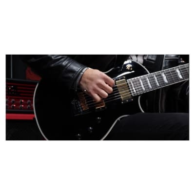 ESP LTD Deluxe EC-1007 Baritone Evertune 7-String Right-Handed Electric Guitar with 3-Piece Mahogany Neck and Macassar Ebony Fingerboard (Black) image 6