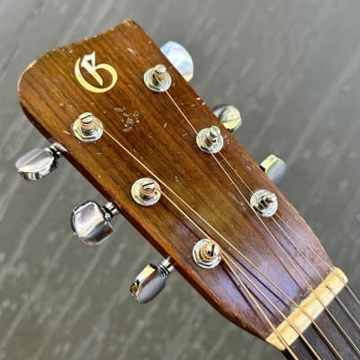 Gallagher Dreadnought Acoustic Guitar, G-45, 1970 image 5
