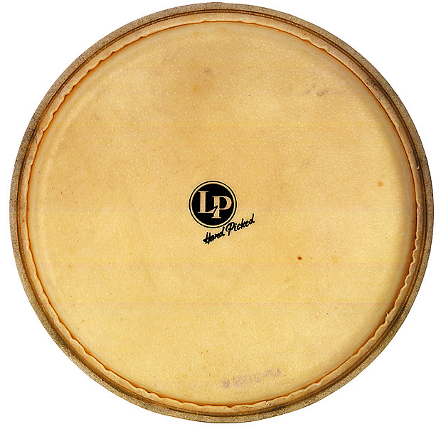 Latin Percussion LP274B 11.75" Galaxy Series Rawhide Conga Head image 1