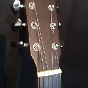 Sigma SF18 Acoustic, w/HSC , 12 Choice points image 3
