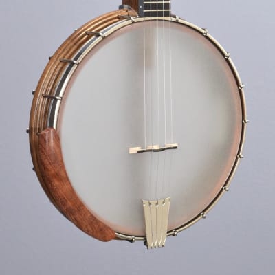Nechville Atlas Standard 12" Open Back Banjo (#2992) image 1