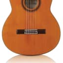 Cordoba C7 CD/IN - Solid Cedar Top, Indian Rosewood back/sides - Classical Nylon String Guitar
