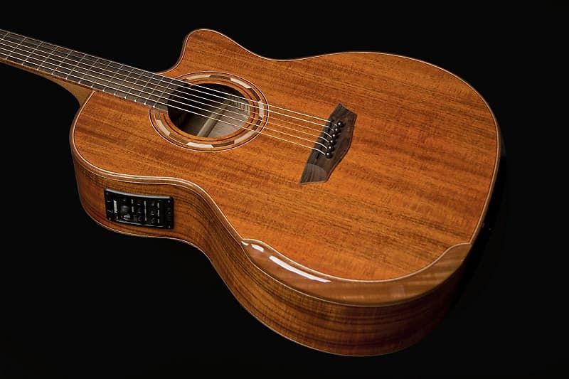 Washburn WCG66SCE Comfort Deluxe Series Cedar Acoustic-Electric Guitar image 1