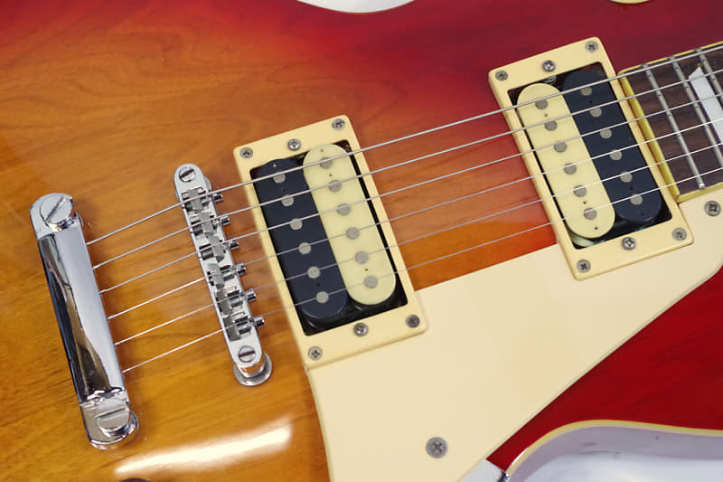 ギター Brian by Bacchus Live Road Brian by Bacchus Live Road Model Les Paul Standard Type