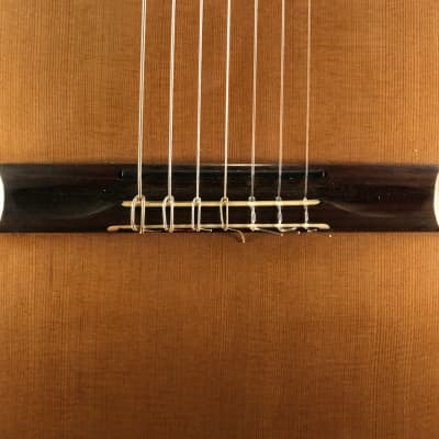 Richard Prenkert 7-String Guitar #401 2019 image 14