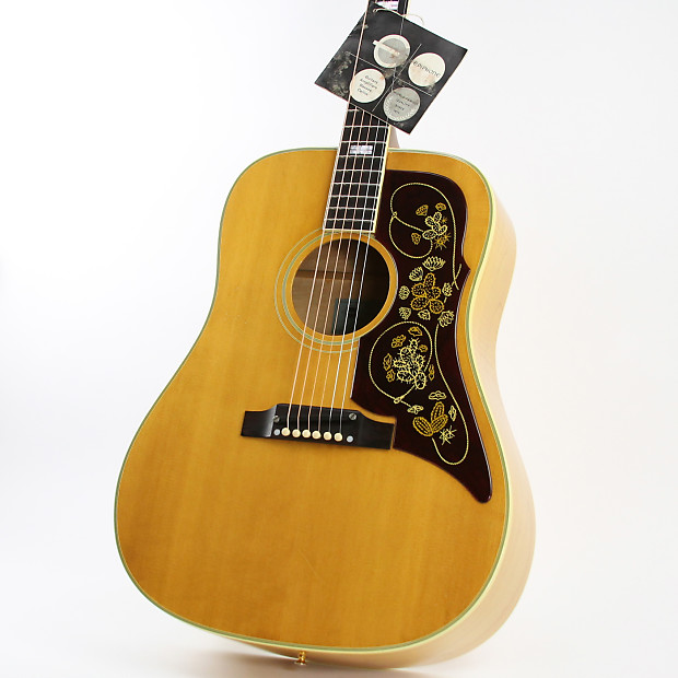 Epiphone FT-110  Frontier Natural 1966 image 1