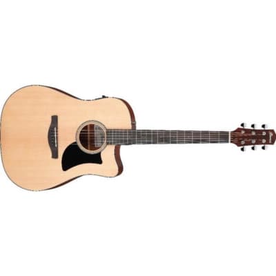 Ibanez AW20 - Chitarra Acustica Vintage con case rigido e tracolla - Buone  Condizioni Chitarre acustiche