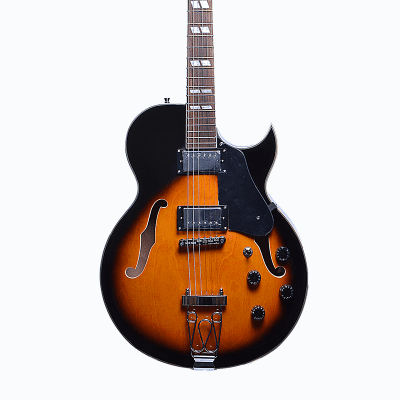 Glen Burton GE775-TS Hollow Body Chicago Maple Neck 6-String Electric Guitar w/Gig Bag, Strap & Pick image 2