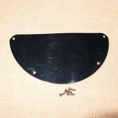 Control Plate Black, Genuine 1989 Peavey Tracer Deluxe #DN02 for sale