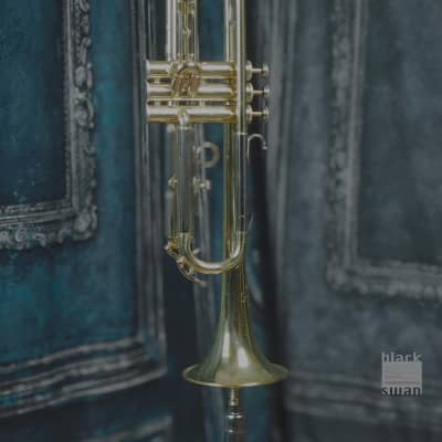 Blessing Scholastic Trumpet Bb Brass Elkhart USA image 4