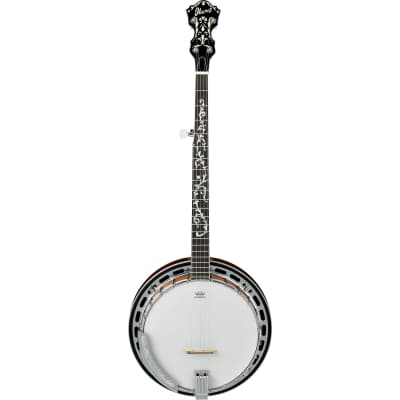 Ibanez B200 5-String Closed Back Banjo-Natural for sale