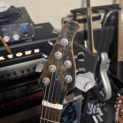 Nishgaki Style-N Guitar Amnis Radix 2018 Suiboku image 3