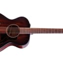 Taylor AD22e