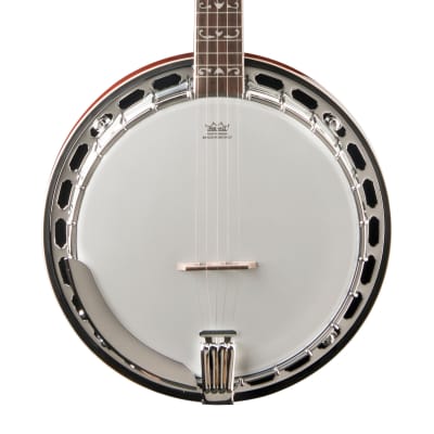 Washburn - Tobacco Sunburst Americana Series 5 String Banjo! B16 for sale