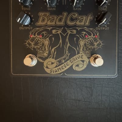 Reverb.com listing, price, conditions, and images for bad-cat-siamese-drive