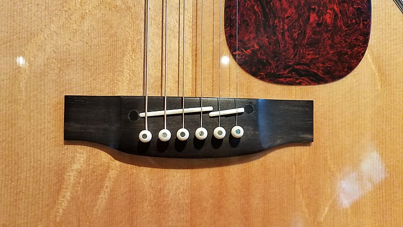 Takamine TNV460SC | Reverb