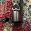 CAD M179 Variable Pattern Condenser Microphone (unit #2)