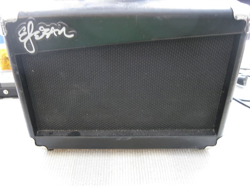 Esteban g 10 electric shop guitar amp