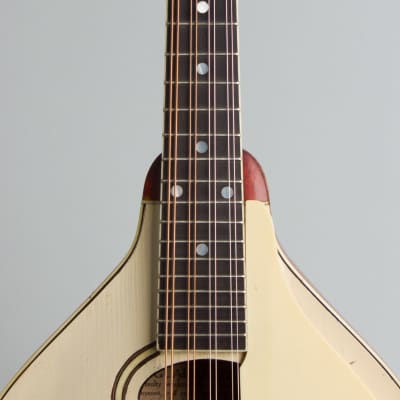 Gibson  Style A-3 Carved Top Mandolin (1919), ser. #53834, original black hard shell case. image 8
