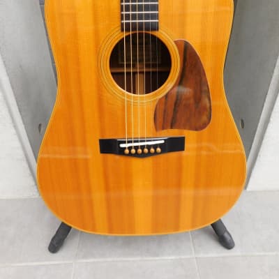 IBANEZ AW20 acoustic guitars