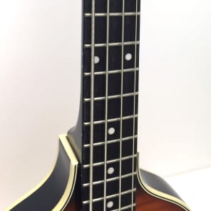 Epiphone Viola Short Scale Hollowbody Electric Bass image 5