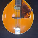 1913 Gibson Style A Mandolin