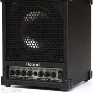 Roland CM-30 CUBE 30W 6.5 inch 2-way Portable Active Monitor image 4