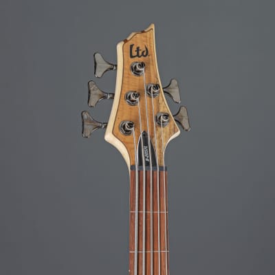 ESP LTD B-205SM-FL 5-String Bass G uitar   - 5-String Electric Bass image 4