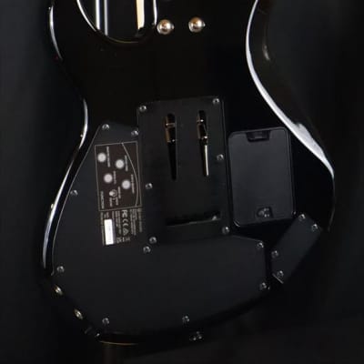 Boss Eurus GS-1 Synth Guitar image 7