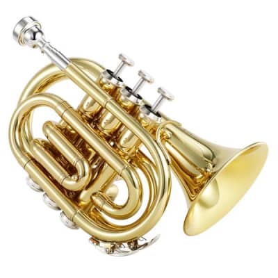 Standard Pocket Trumpet Bb Full Kit With Case & Accessories Bundle image 2