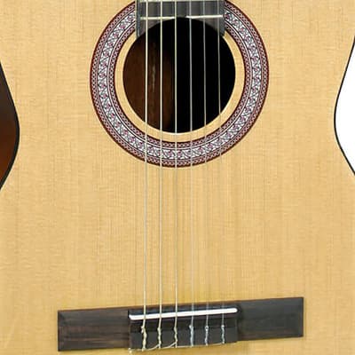 J Reynolds JRC10 Concert Style Spruce Top Mahogany Neck 6-String Classical Acoustic Guitar image 5
