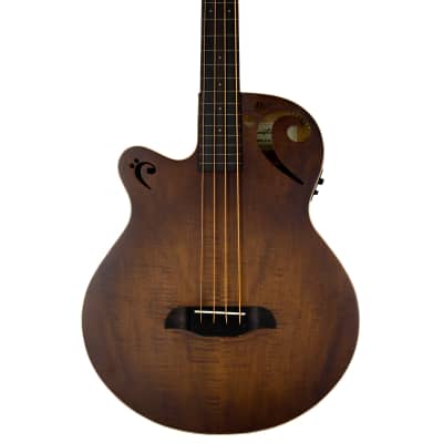 Autographed Sawtooth Left-Handed Rudy Sarzo Signature Fretless Acoustic-Electric Bass Guitar for sale