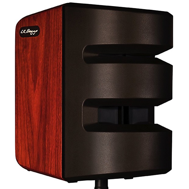 LR Baggs Synapse 500-Watt 2-Channel Personal PA System image 1