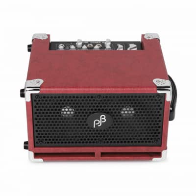 Phil Jones BG-120 Bass Cub Pro 120-Watt 2x5