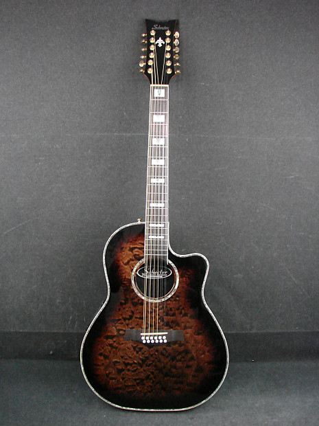 Schecter 12 string hot sale acoustic