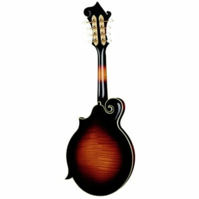 The Loar LM-700 Supreme Mandolin, F-Style, All Solid Hand Carved. New! image 8