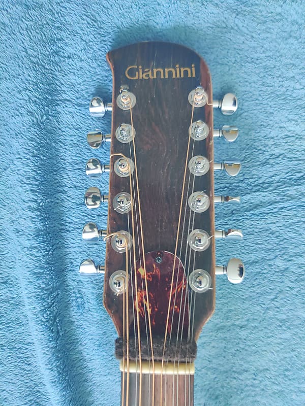 Giannini Craviola 12 String Player Grade | Reverb