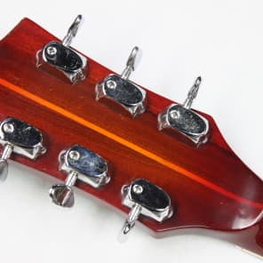 Goya 107-S Rangemaster Hollow Body Electric Guitar image 17