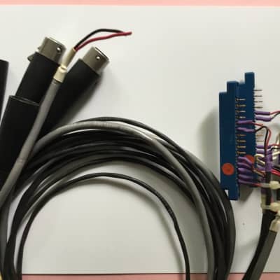 API 312A Dual Channel Wiring Harness image 2