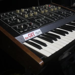 The Cat by Octave Vintage 37 Key Analog Duophonic Synthesizer image 8