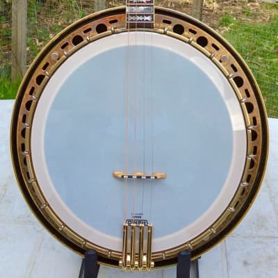 Fender Concert Tone Tenor Banjo image 1