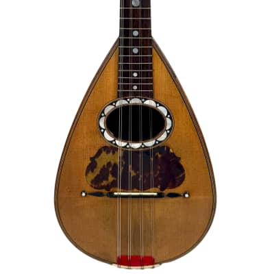 Pasquale Vinaccia Mandolin from 1883 image 9