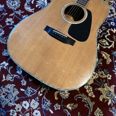 VERY RARE : Morris TF-801 Brazilian Rosewood, back and side and 