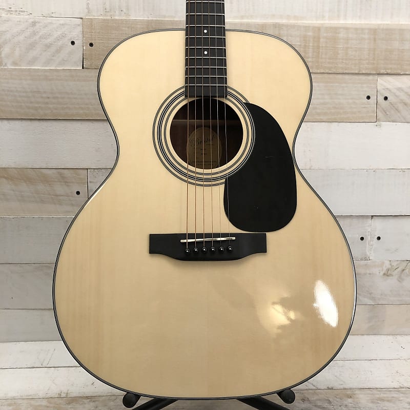 Bristol BM-16 000 Spruce/Mahogany Acoustic Guitar w/Padded Gig Bag image 1
