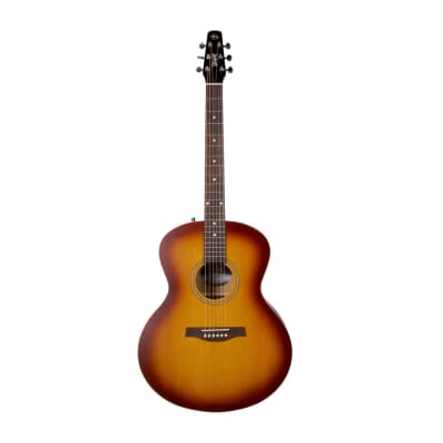 Seagull mini deals jumbo guitar