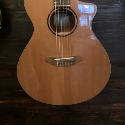 Breedlove Discovery S Concert CE Nylon 2021 - Present - Natural image 2