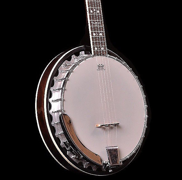 Oscar schmidt discount ob5 banjo