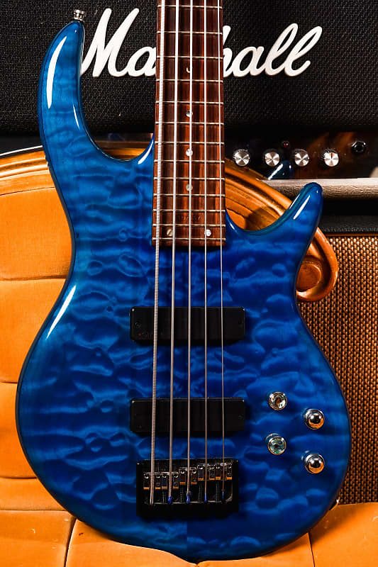 2010 Carvin Icon Series IC5 5String Bass Reverb